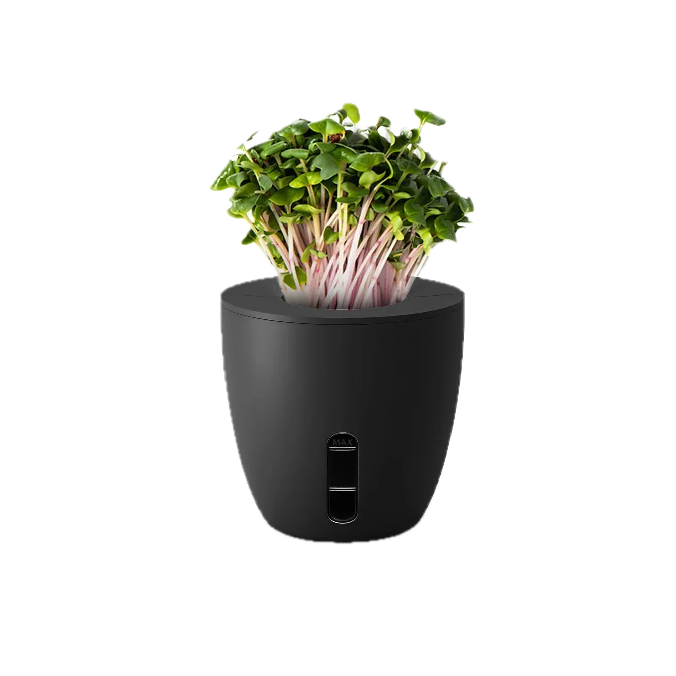 EO Terra Self Watering Plant — image 1
