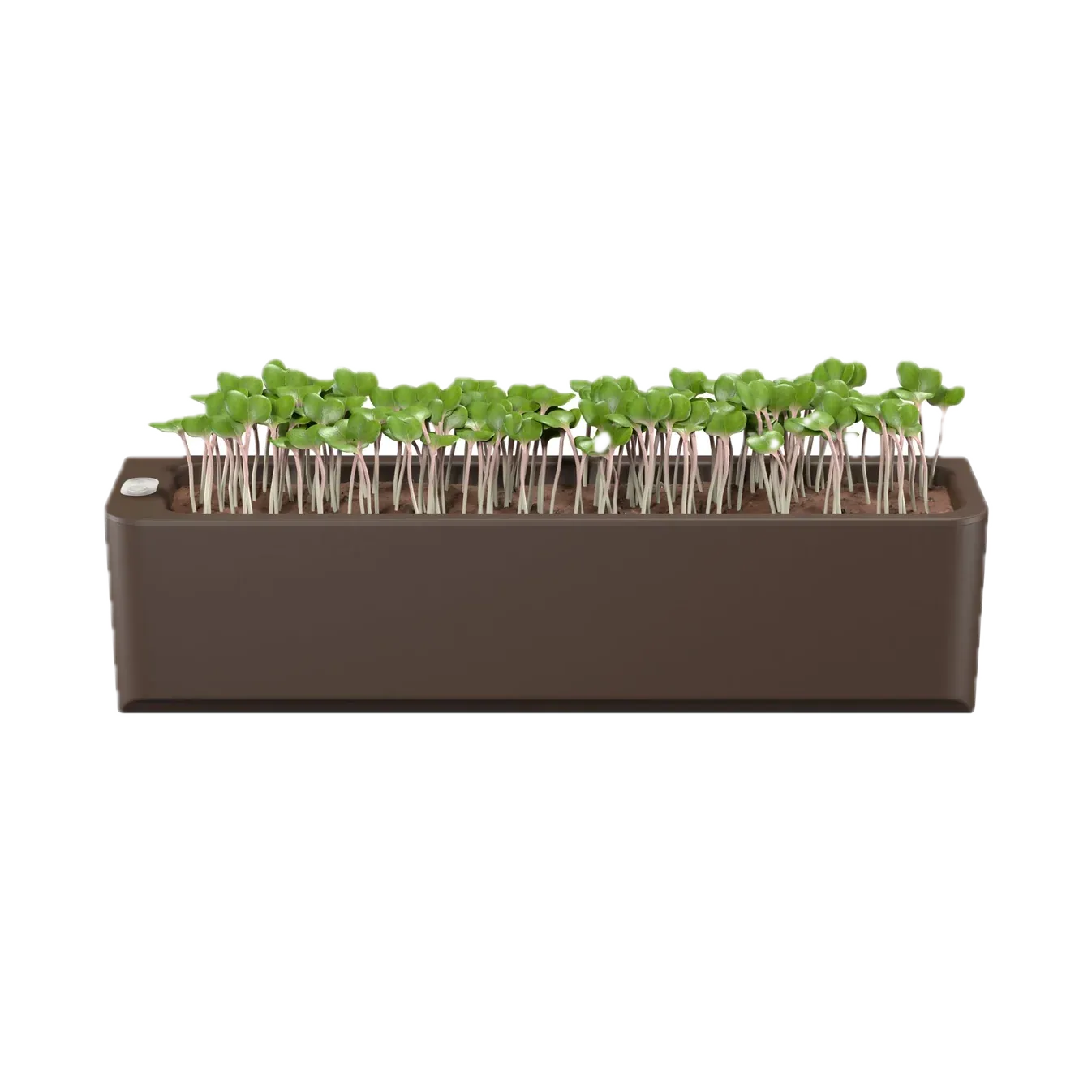 EO Terrarium - Self Watering Plant — image 1